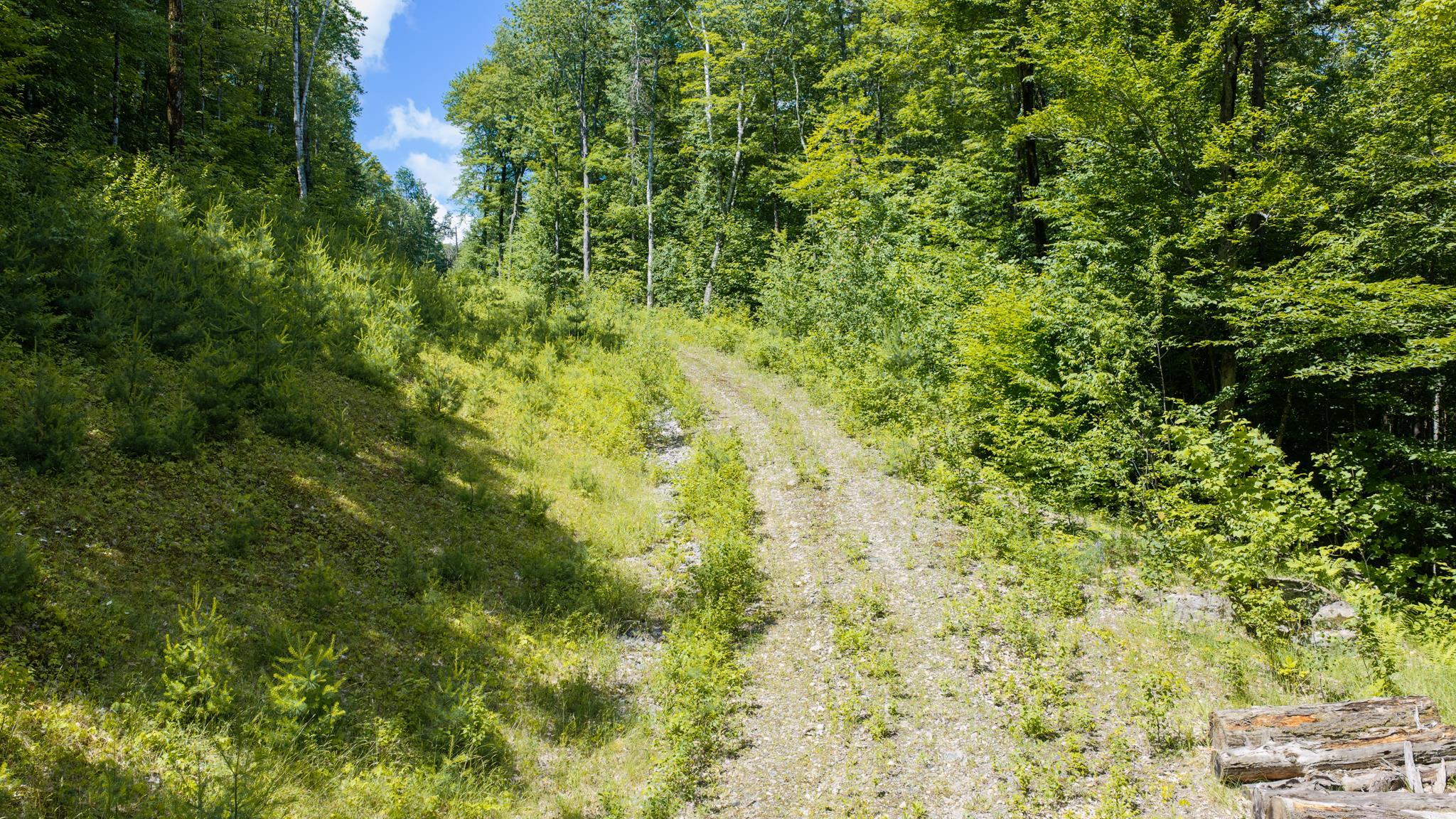 56 Lower Taylor Hill Road Winhall, VT 05340 - Photo 6 of 14 Gallery Image 6