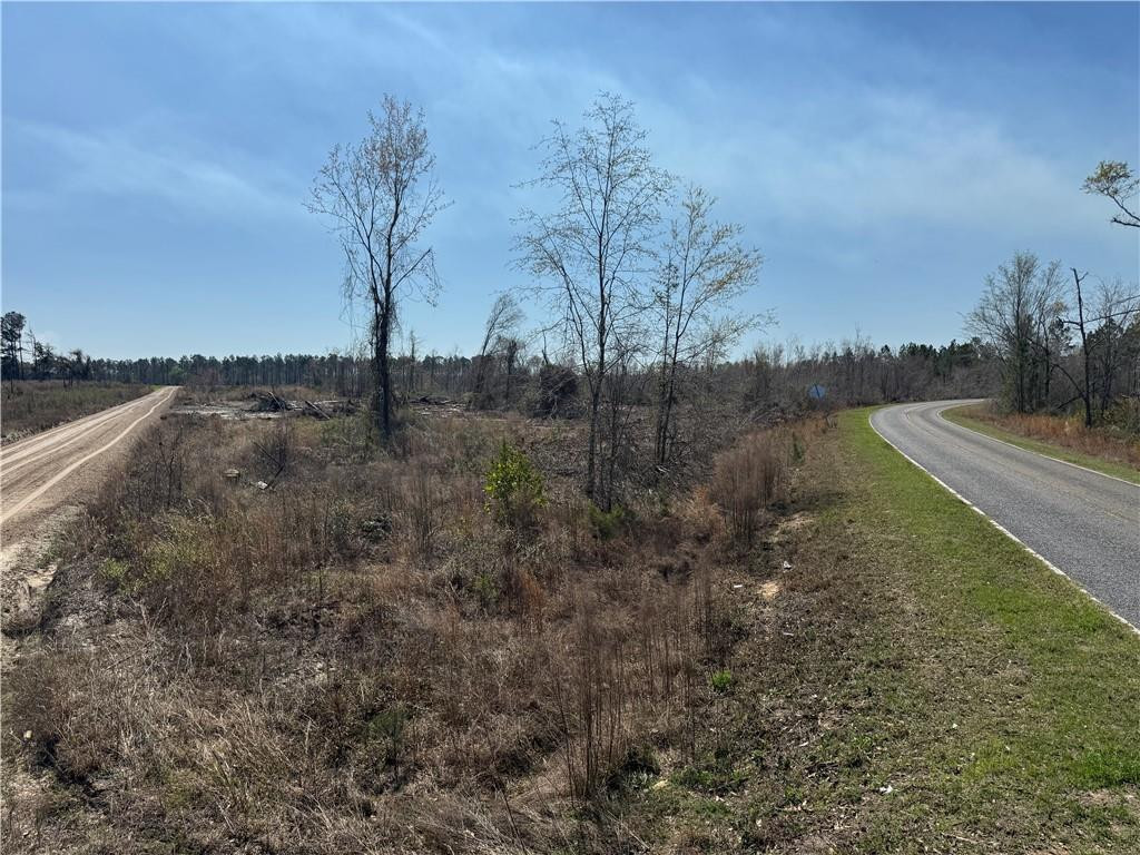-35.01 Acres) Bacon School Road Alma, GA 31510 - Photo 2 of 19