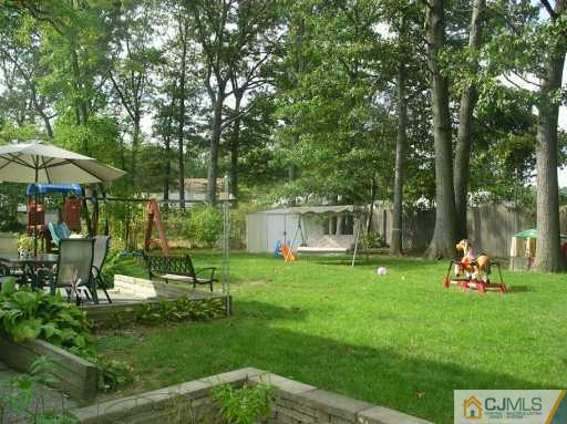 6 Magee Road Edison, NJ 08817 - Photo 8 of 8 a view of a park with plants and trees