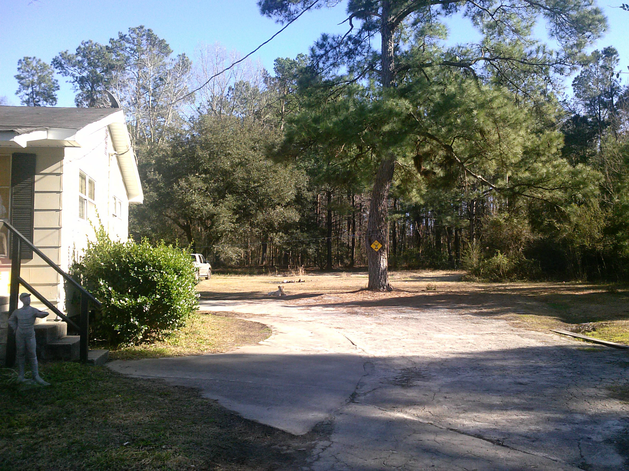 498 Pond Road Goose Creek, SC 29445 - Photo 14 of 14 pond road backyard