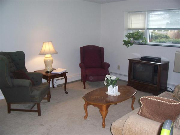 A3 Colonial Drive, Unit 2 Andover, MA 01810 - Photo 5 of 11 a living room with furniture lamp and a fireplace