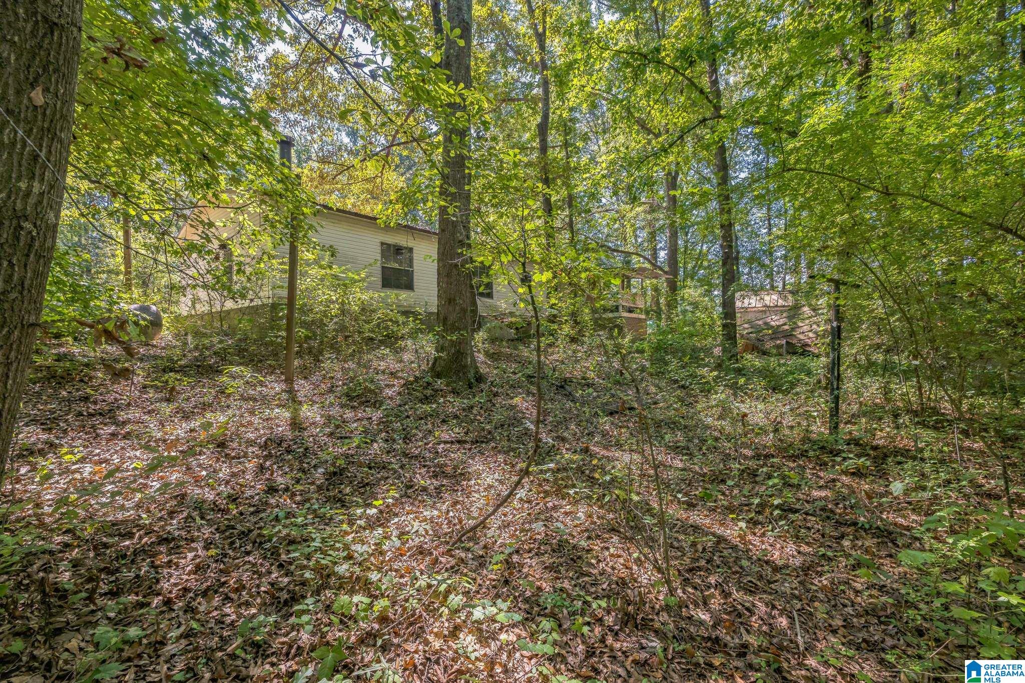 2873 Pineywoods Sipsey Road Jasper, AL 35504 - Photo 5 of 33