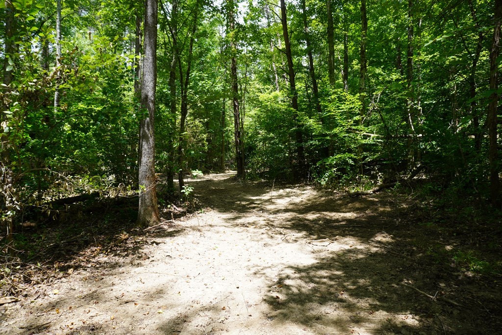 3301 Joppa Mountain Road Rutledge, TN 37861 - Photo 8 of 50 Gallery Image 8