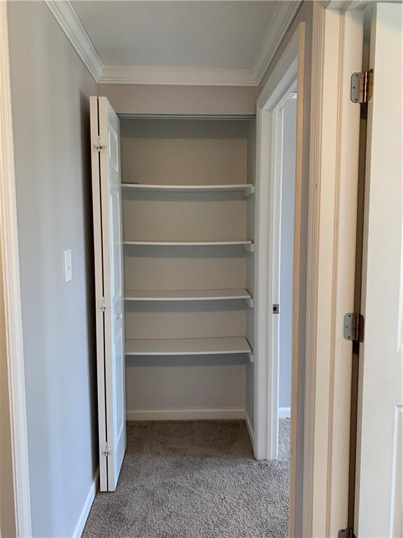 3124 Haberlein Road Gibsonia, PA 15044 - Photo 13 of 16 Linen closet