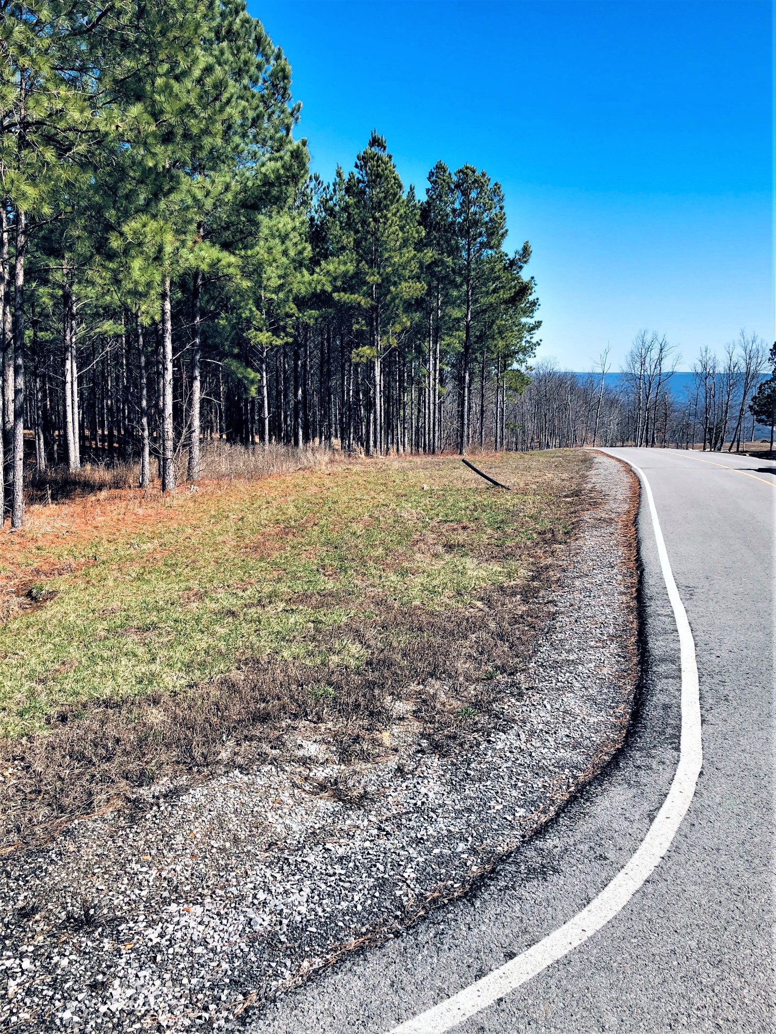 0 River Bluffs Drive Jasper, TN 37347 - Photo 16 of 26 a view of a backyard with tree