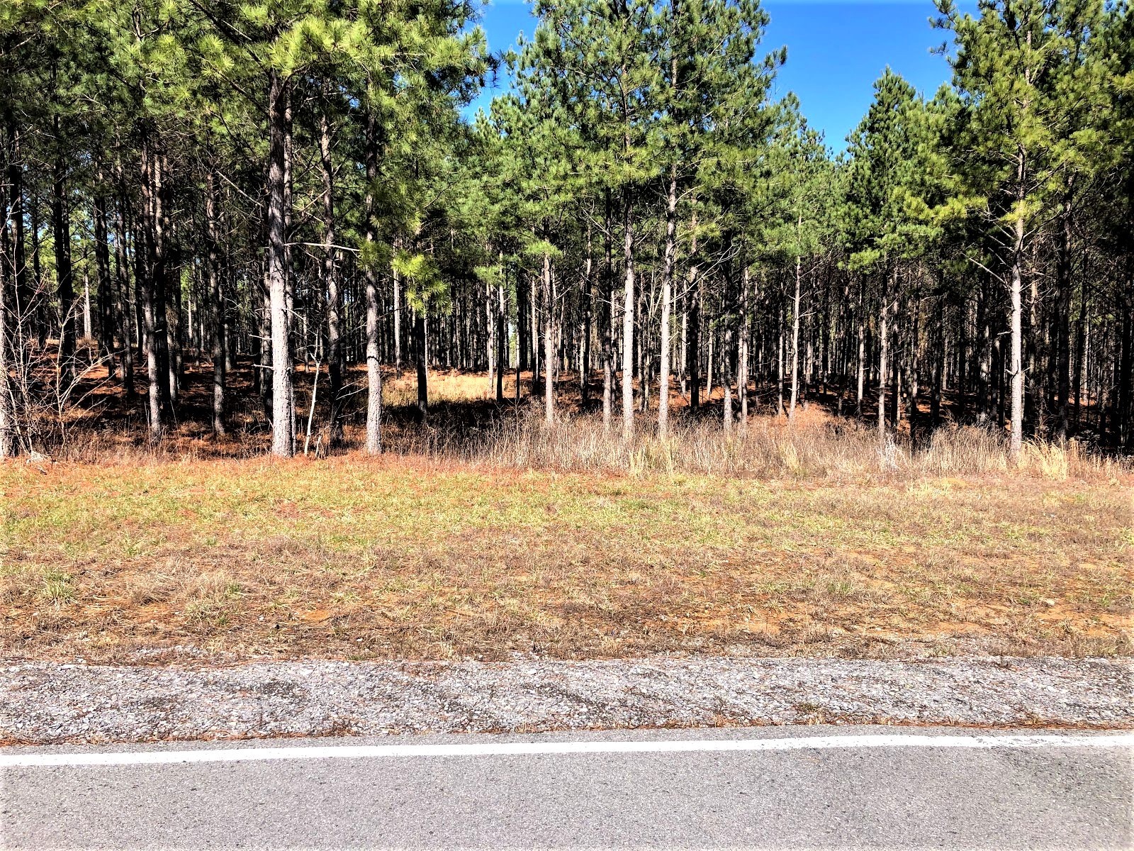 0 River Bluffs Drive Jasper, TN 37347 - Photo 17 of 26 a backyard of a house with table and chairs