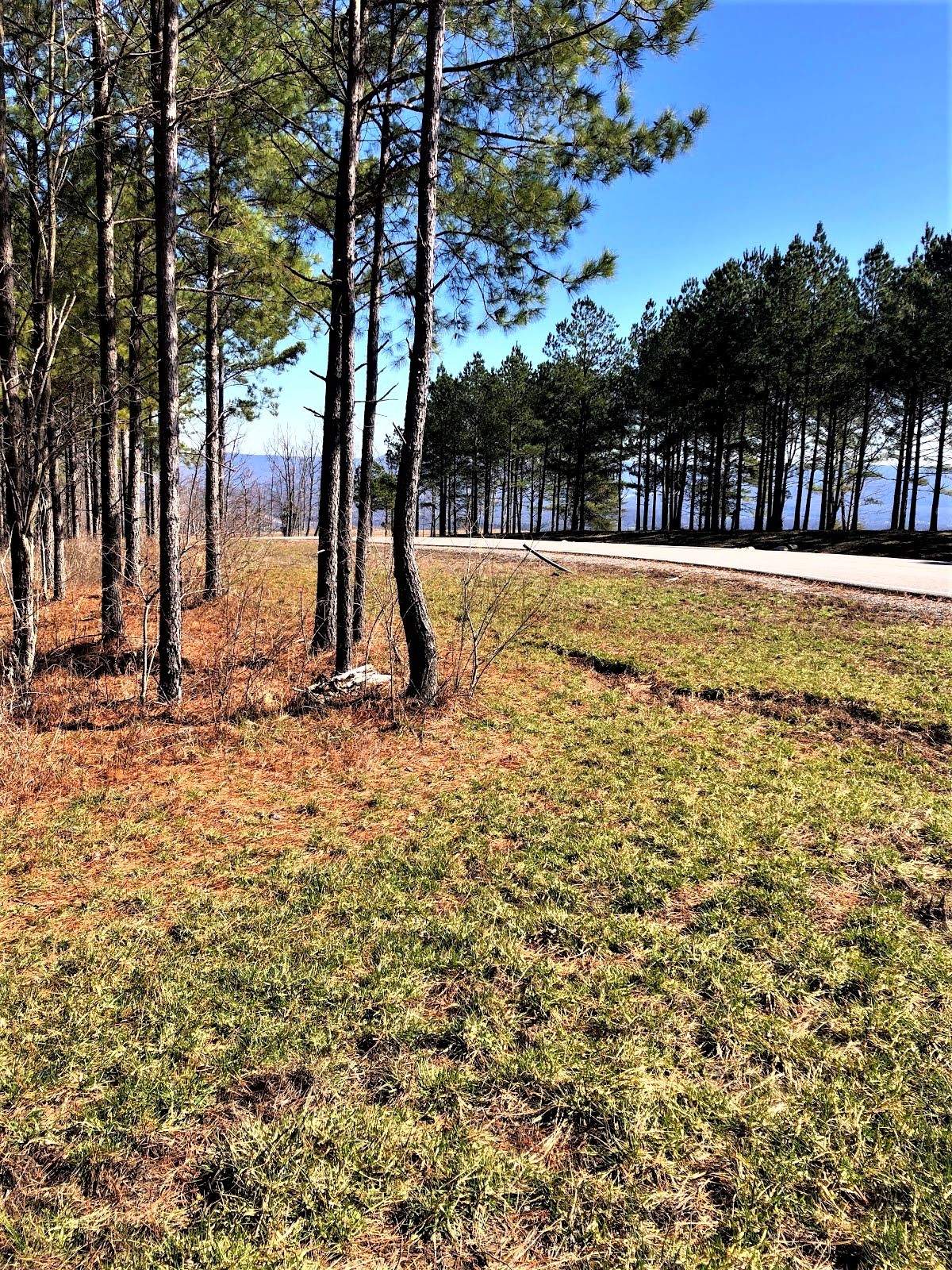 0 River Bluffs Drive Jasper, TN 37347 - Photo 18 of 26 a view of swimming pool with a bench