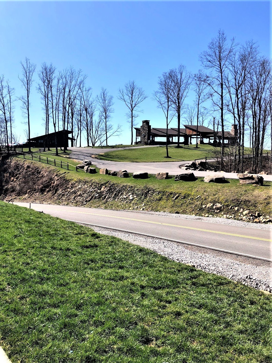 0 River Bluffs Drive Jasper, TN 37347 - Photo 7 of 26 a view of yard with tree s