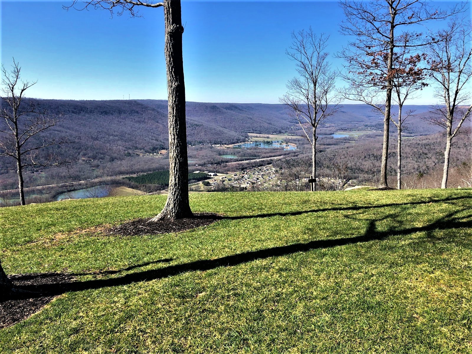 0 River Bluffs Drive Jasper, TN 37347 - Photo 10 of 26 a view of a garden with an empty space