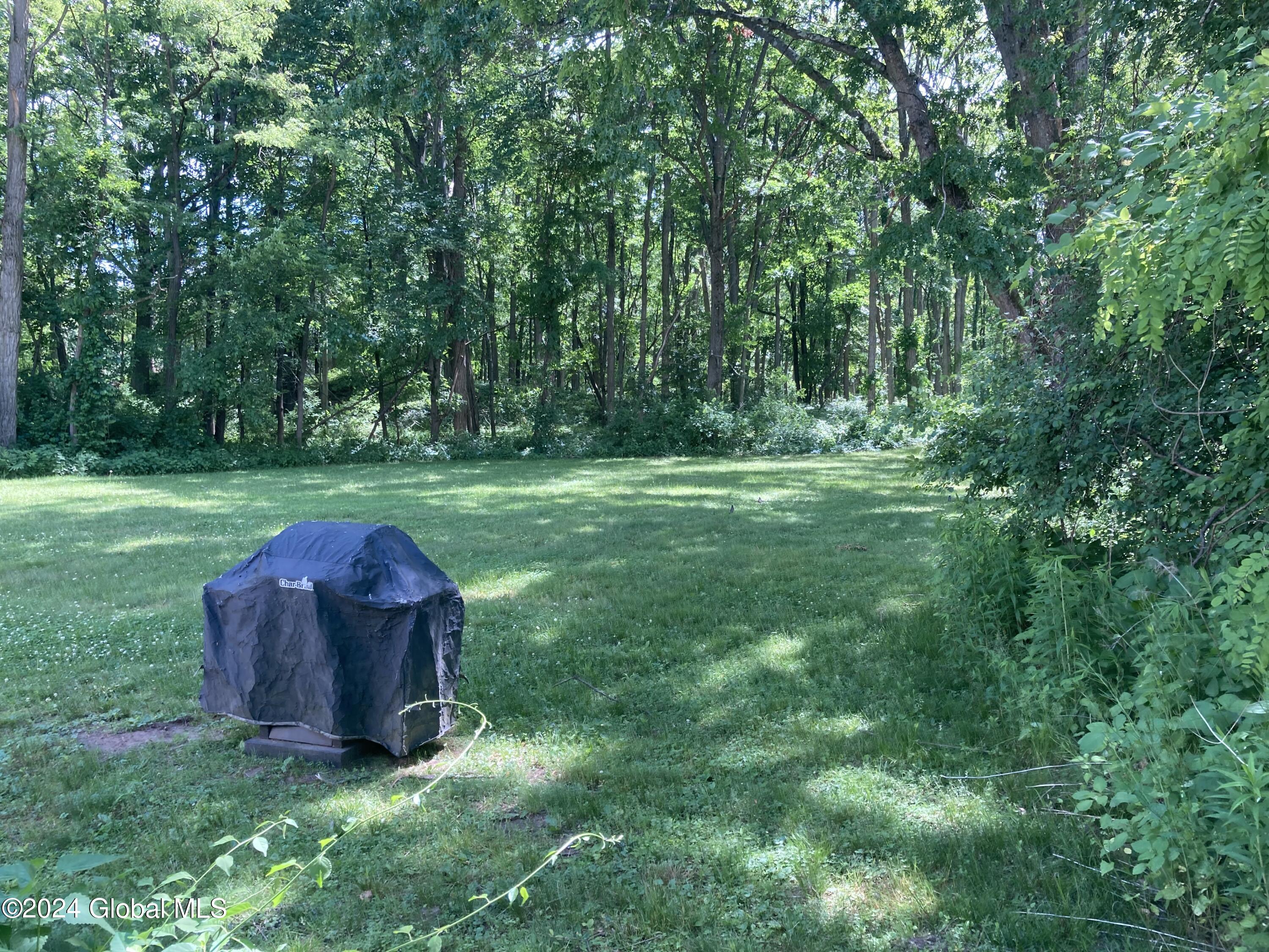 5942 Curry Rd Extension Guilderland, NY 12303 - Photo 4 of 18 back yard