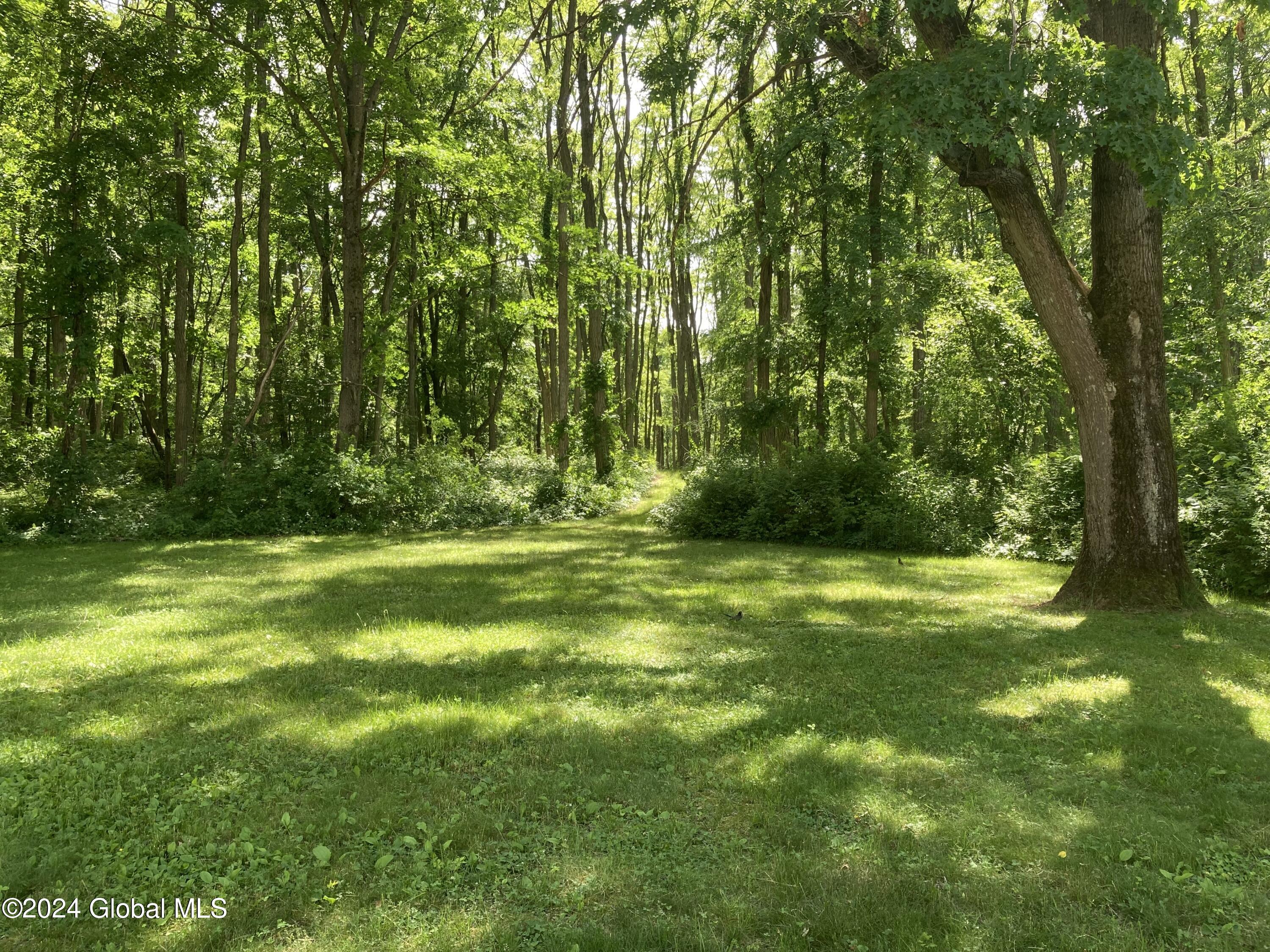 5942 Curry Rd Extension Guilderland, NY 12303 - Photo 5 of 18 back yard