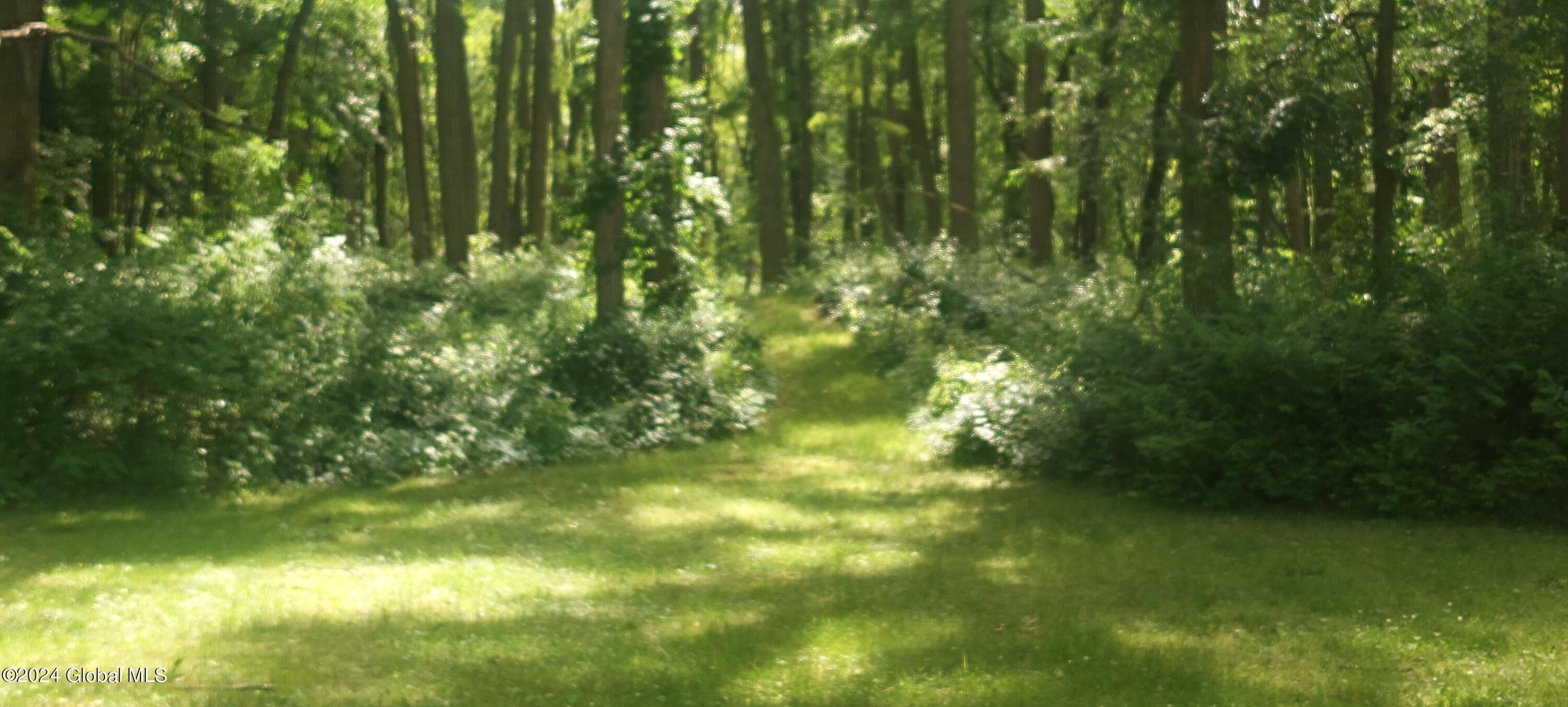 5942 Curry Rd Extension Guilderland, NY 12303 - Photo 6 of 18 Entrance to private trail