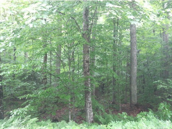 73 High Pond Road Grantham, NH 03753 - Photo 1 of 1