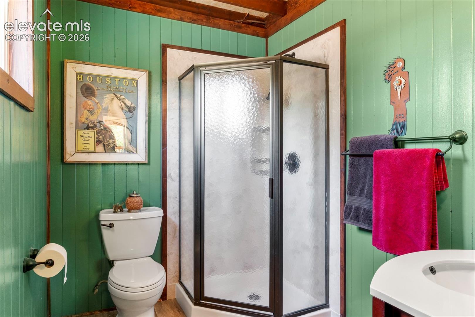 546 Pulver Road Lake George, CO 80827 - Photo 17 of 45 Gallery Image 17