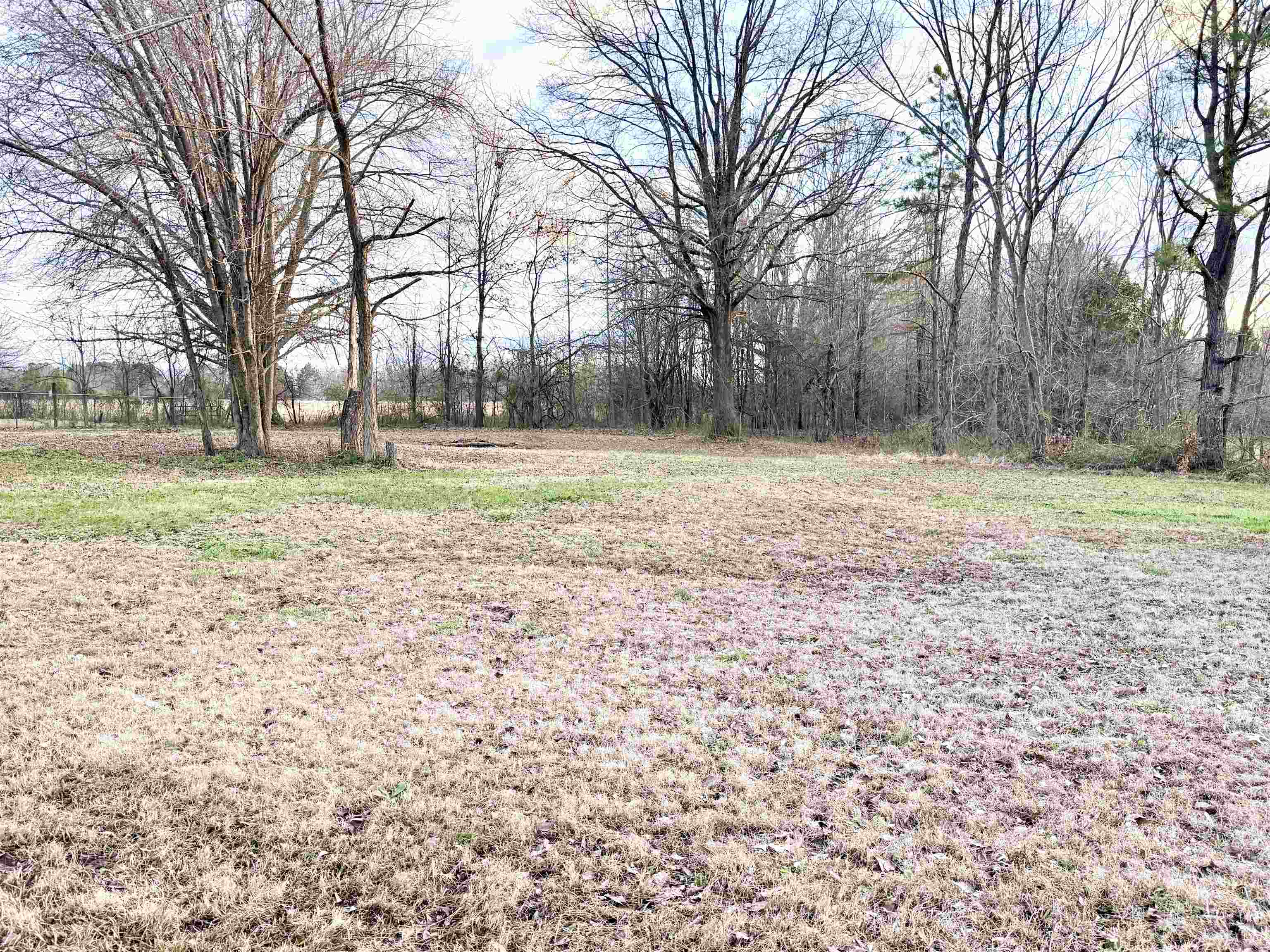 800 Highway 59 Mason, TN 38049 - Photo 11 of 11