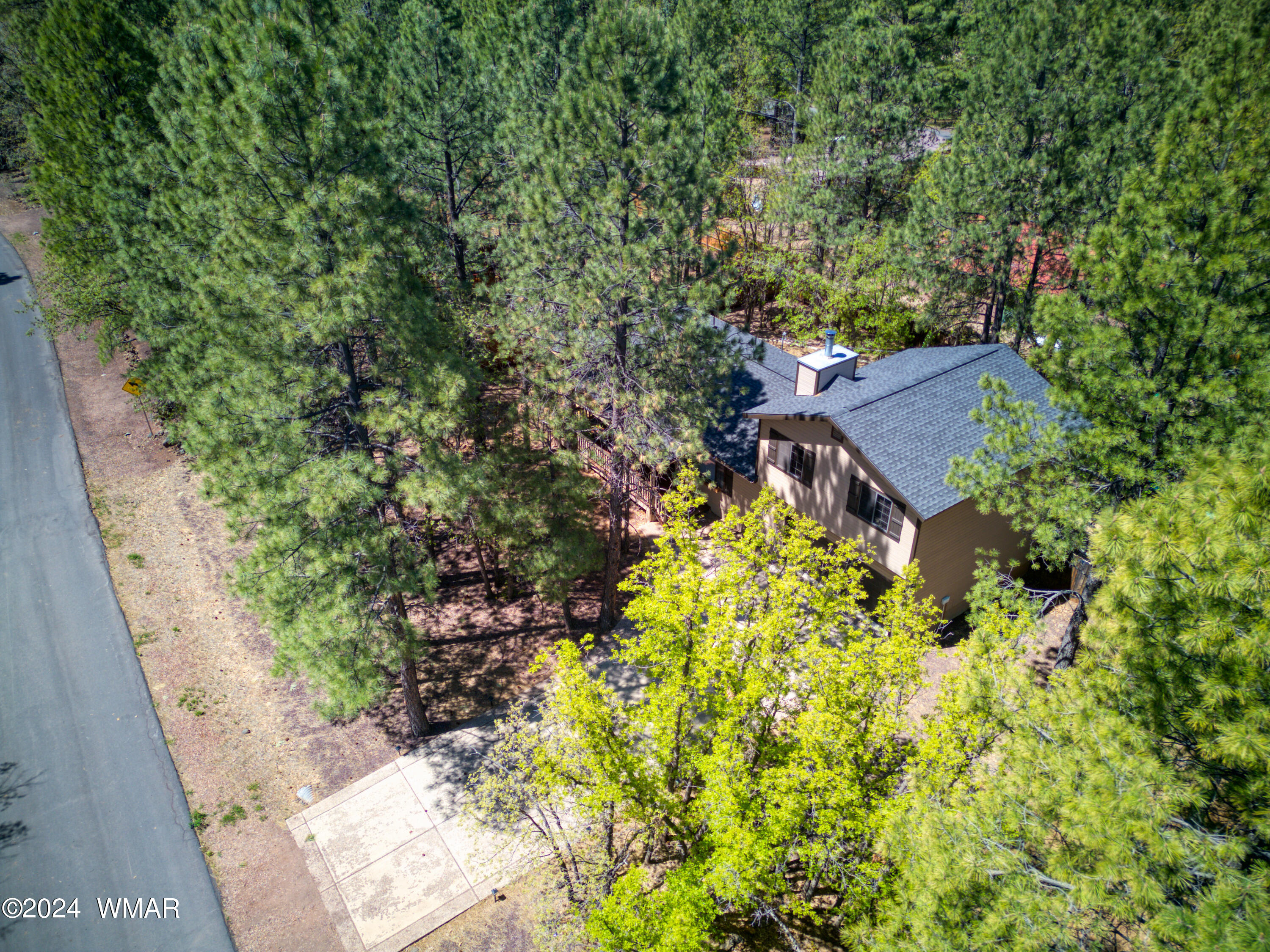 4134 Bridle Path Loop Pinetop, AZ 85935 - Photo 30 of 63