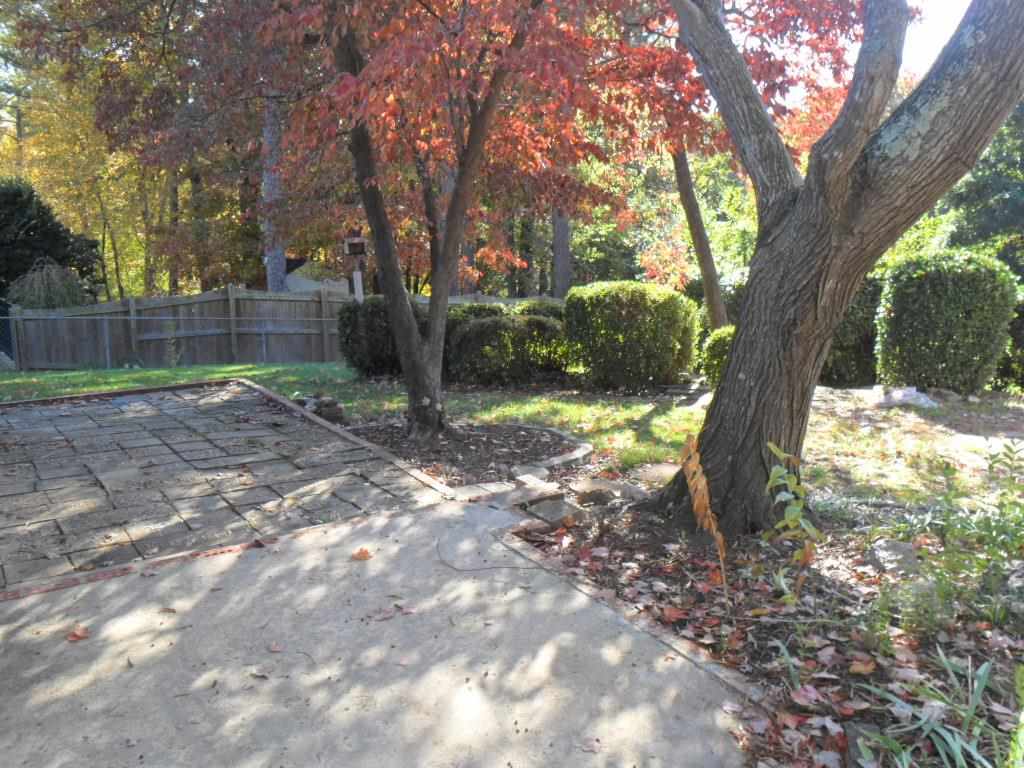 524 Harvard Street Raleigh, NC 27609 - Photo 23 of 25 This is the view from the huge screened in porch which is really beautiful. The yard is nicely landscaped. There is a small detached workshop outside that has power.