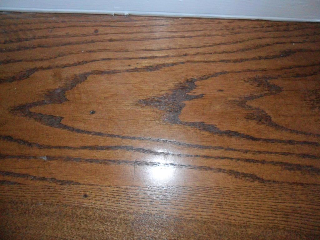 524 Harvard Street Raleigh, NC 27609 - Photo 25 of 25 Up close picture of the refinished Oak hardwoods that are stunning.