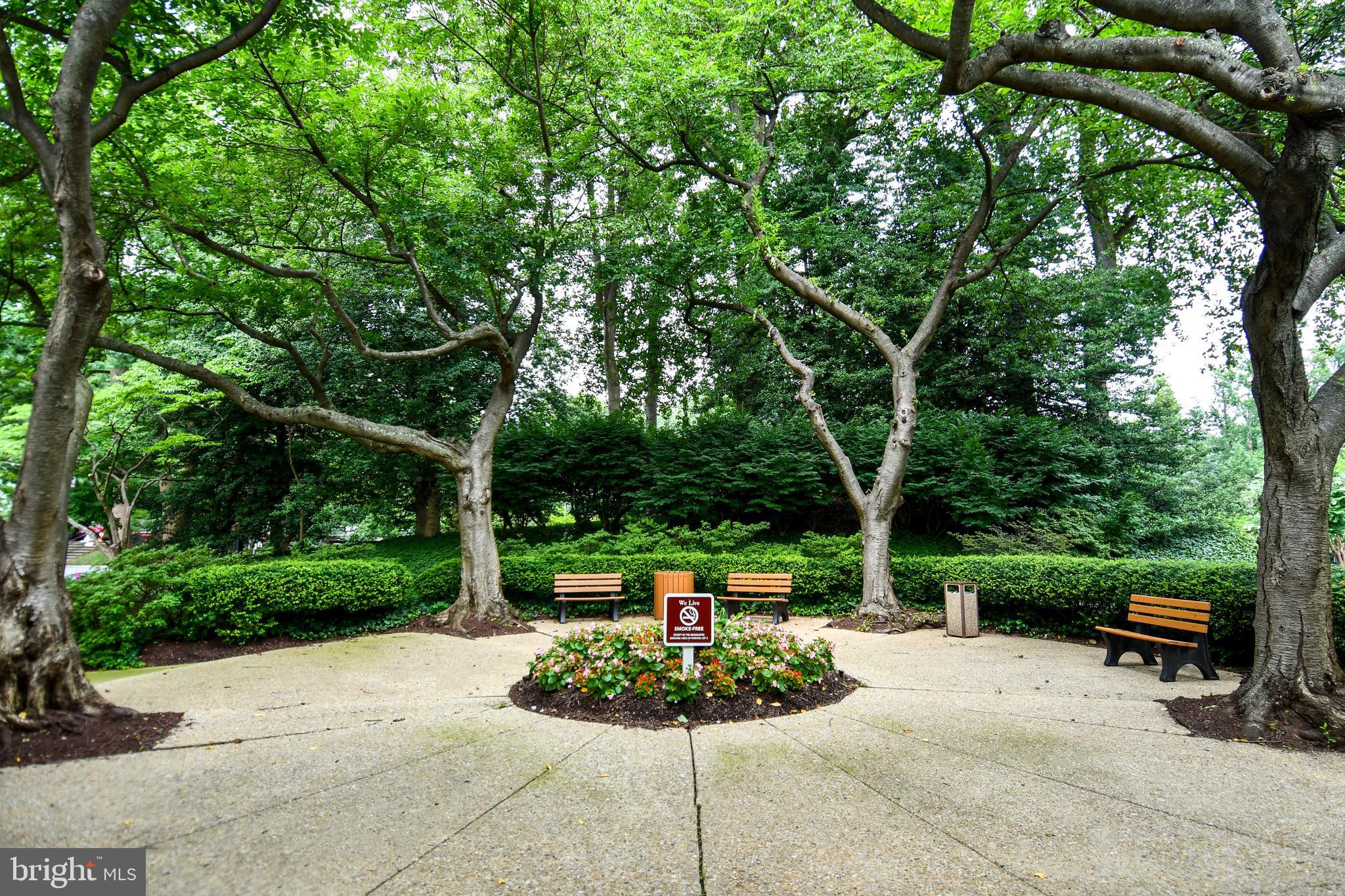 5225 Pooks Hill Road, Unit 222N Bethesda, MD 20814 - Photo 45 of 45 a bench is sitting in the middle of a park