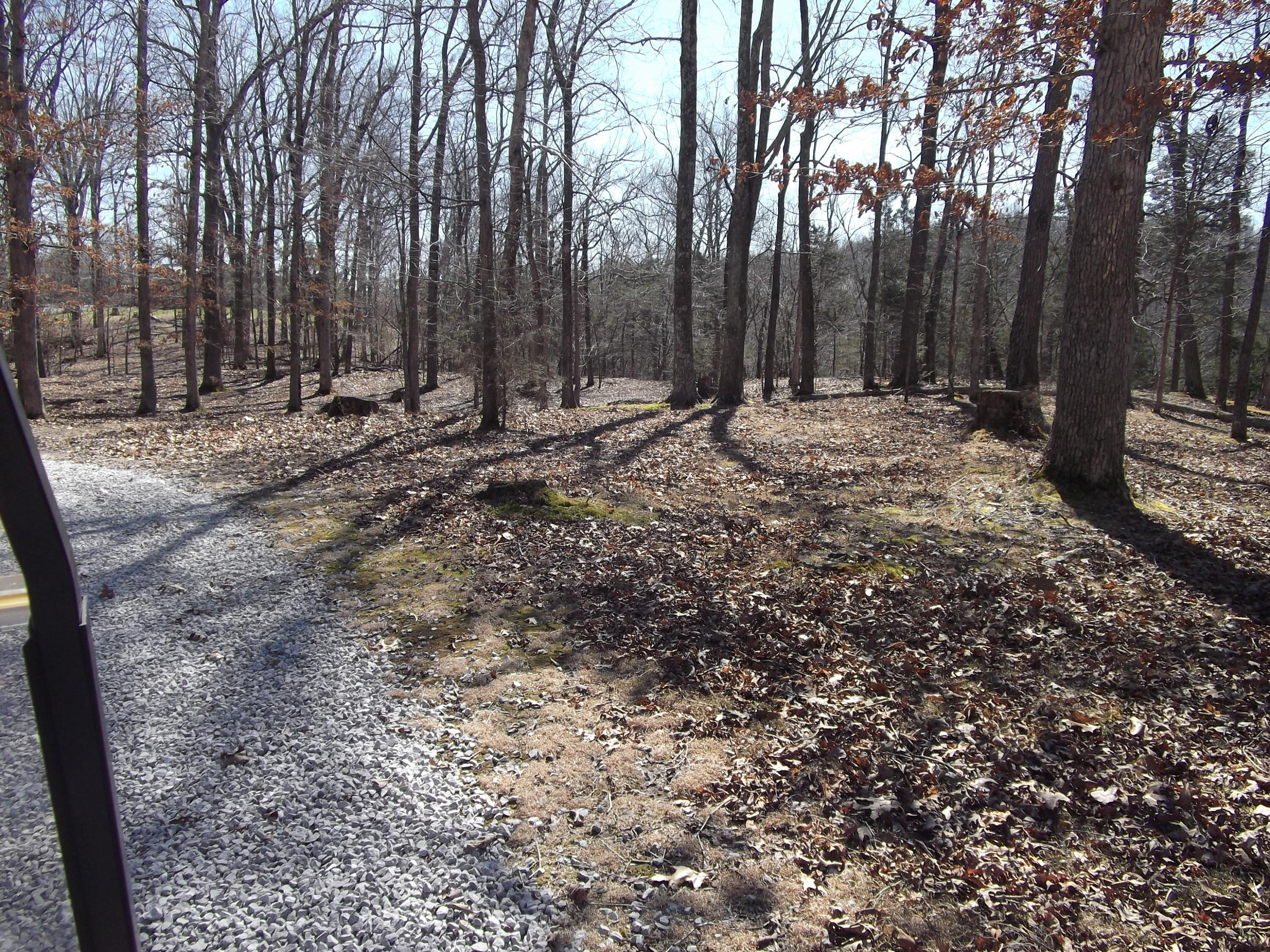 1943 Greenbriar Road Monticello, KY 42633 - Photo 12 of 24 DSCF0423