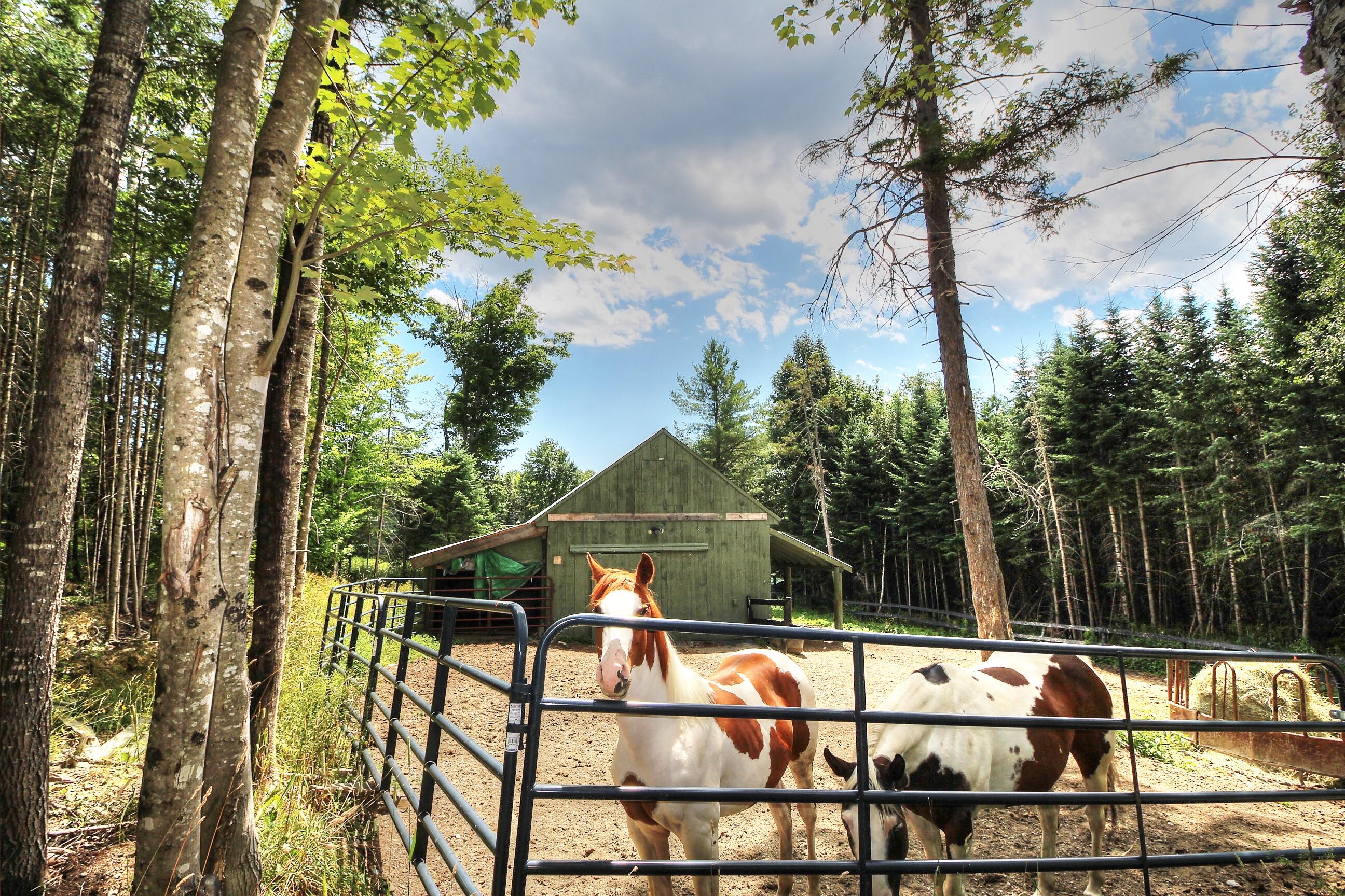 188 Wheeler Road Rangeley, ME 04970 - Photo 31 of 40 e