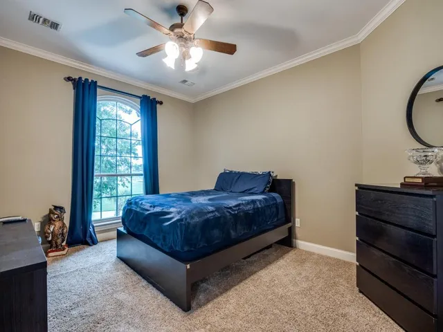 a living room with a bed furniture and a window
