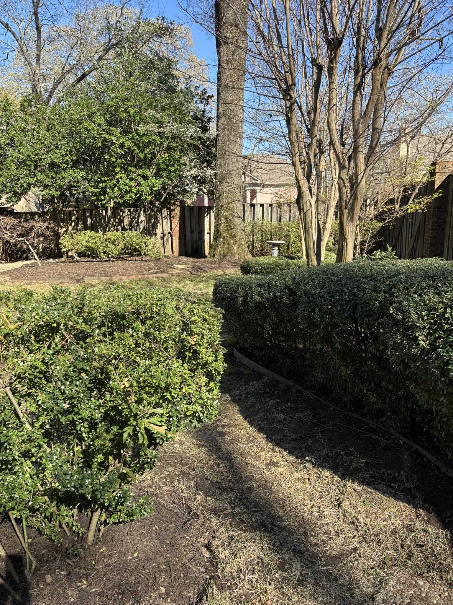 400 Colonial Road Memphis, TN 38117 - Photo 40 of 40 a front view of a house with a yard