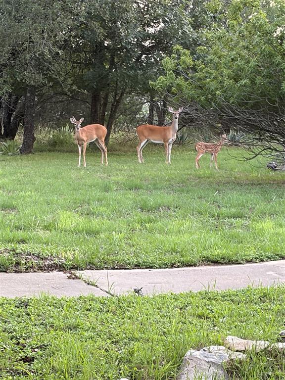 107 Ridge Court Glen Rose, TX 76043 - Photo 34 of 34