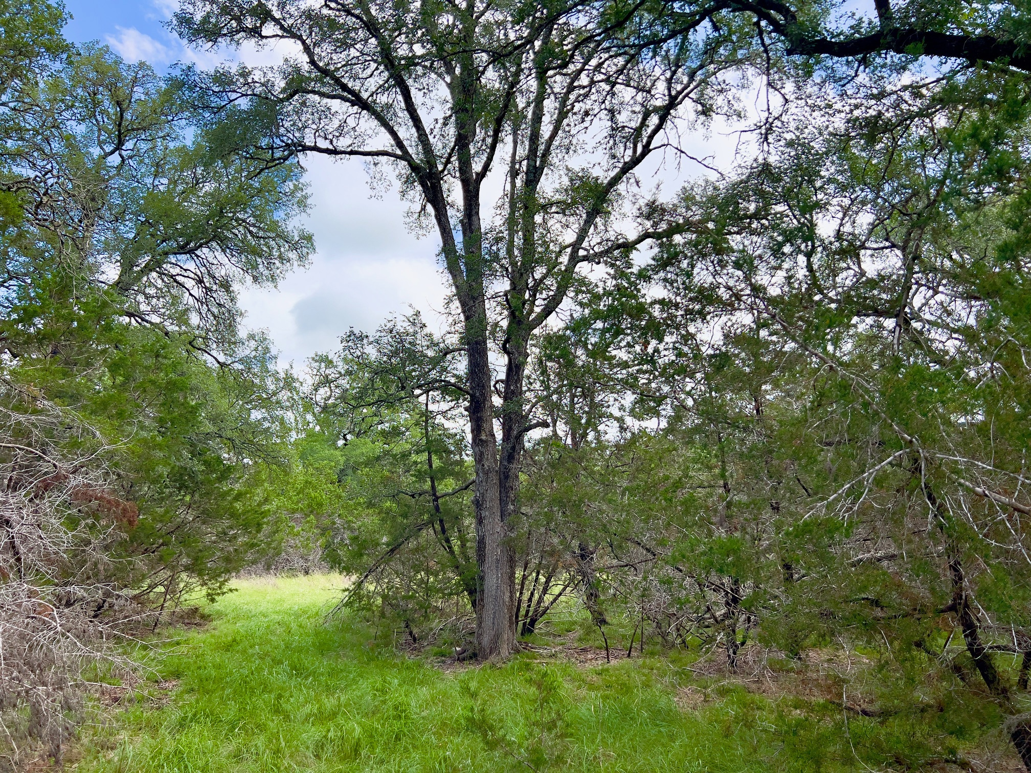 Lot 43 Narrows Road, Unit 1 Blanco, TX 78606 - Photo 1 of 8