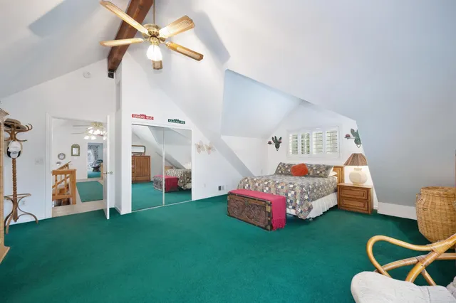 a view of a yard with plants