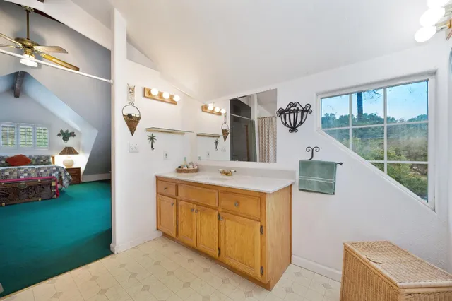 a view of a garden with large trees