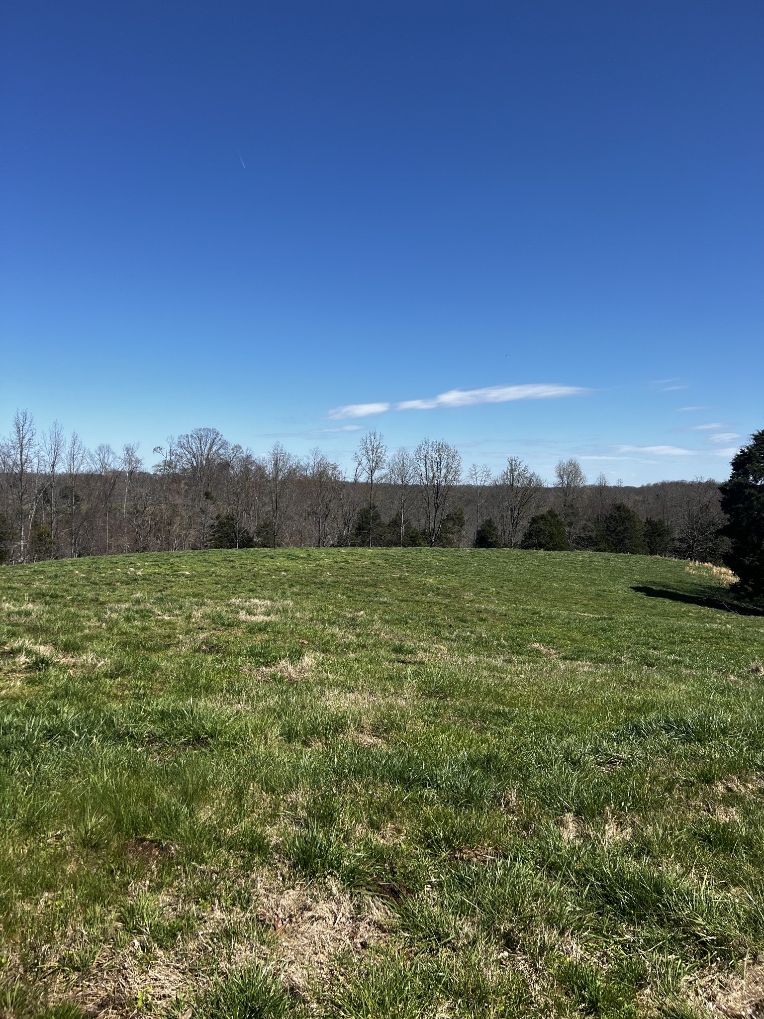 2 Goff Ridge Road Baxter, TN 38544 - Photo 2 of 3 a view of a lake with houses in the back