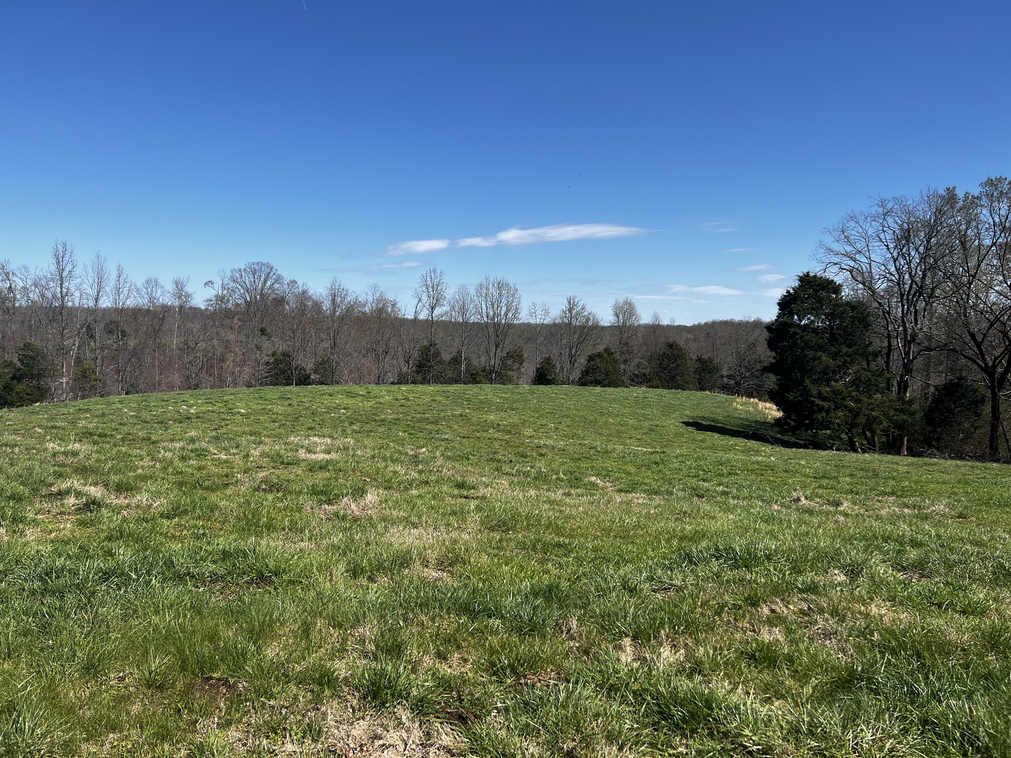 2 Goff Ridge Road Baxter, TN 38544 - Photo 3 of 3 a view of a grassy field
