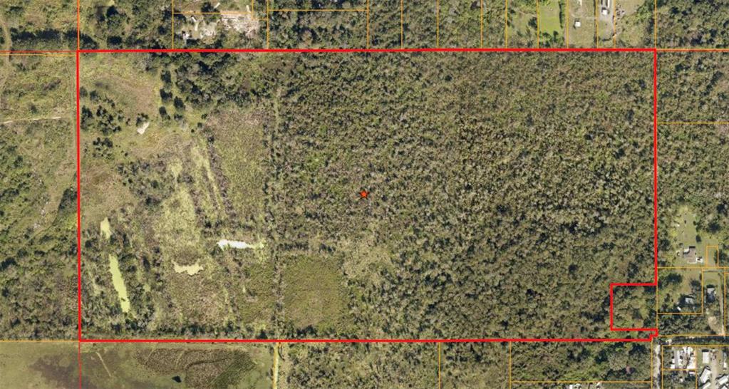 Black Dairy Road Seffner, FL 33584 - Photo 1 of 1