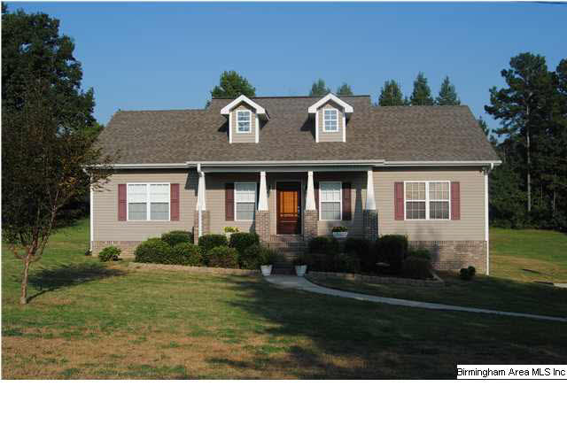 100 Dodd Lane Sumiton, AL 35148 - Photo 1 of 9