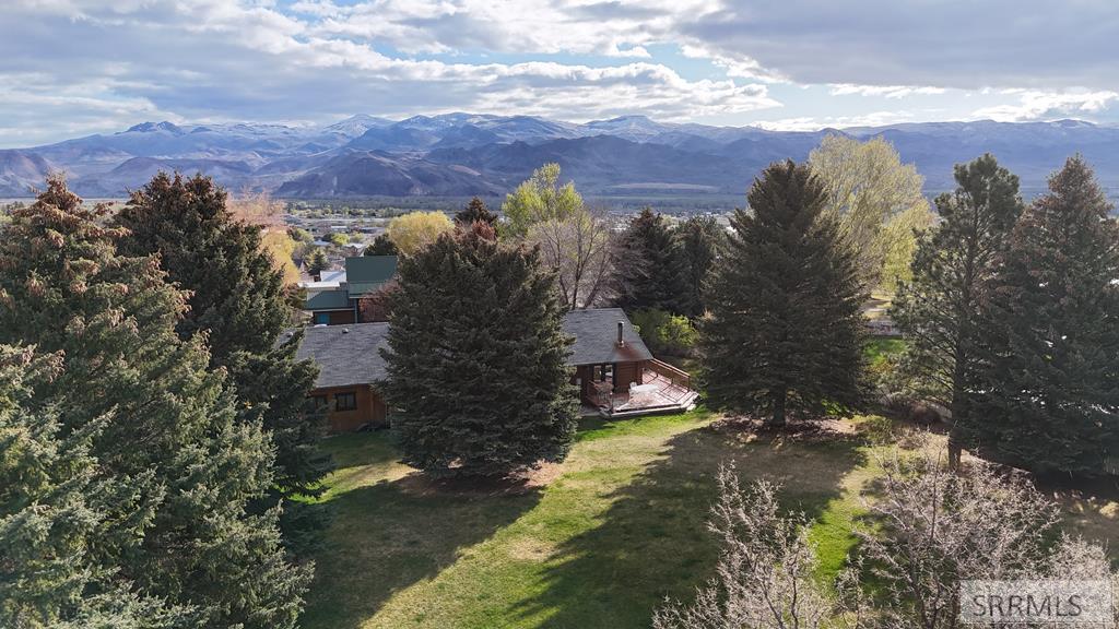 223 Summit Circle Challis, ID 83226 - Photo 6 of 54