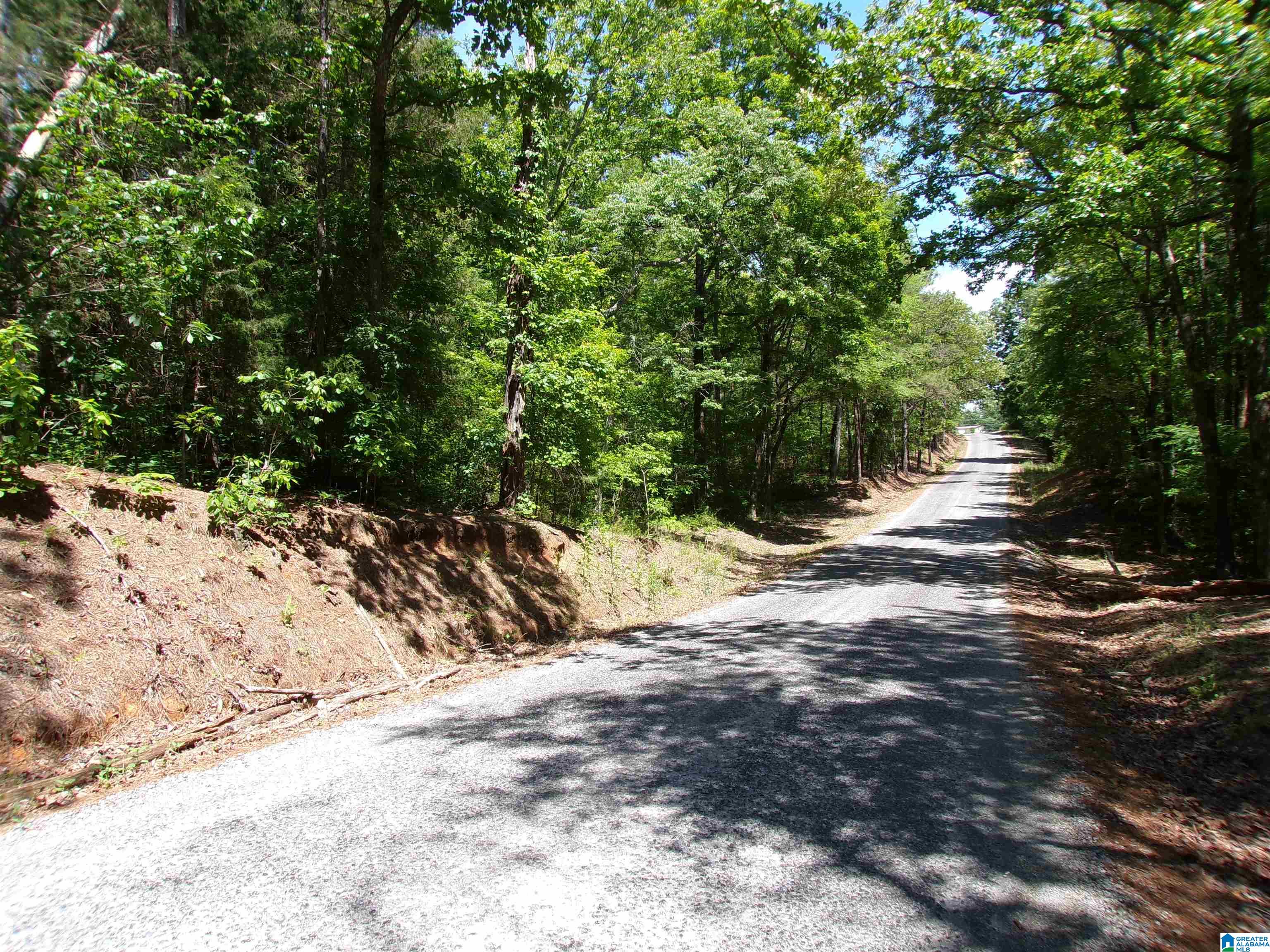 1 St Mary Road South, Unit 1 Lincoln, AL 35096 - Photo 19 of 23