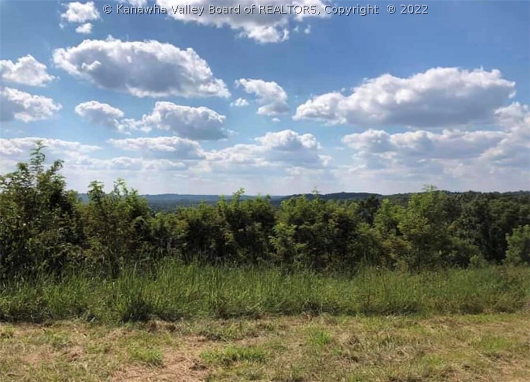0 Payne Run Road Gay, WV 25244 - Photo 8 of 10 Gallery Image 8