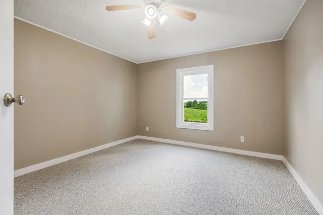 a view of an empty room and chandelier fan