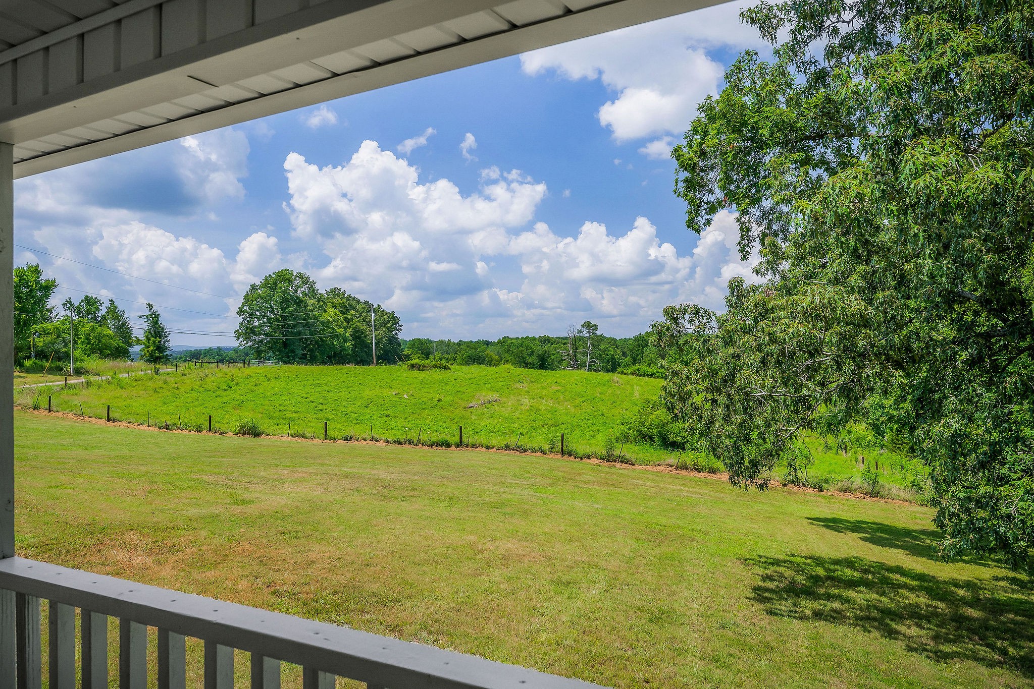 572 Lakeside Road Byrdstown, TN 38549 - Photo 42 of 44 a view of a big yard with potted plants