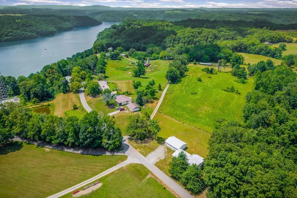 a view of a yard with plants