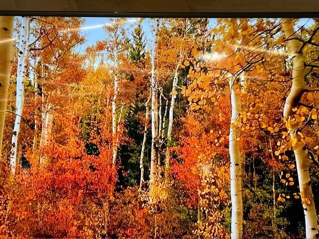 $524,900 | W6616 County Road V, Holland, WI 54636