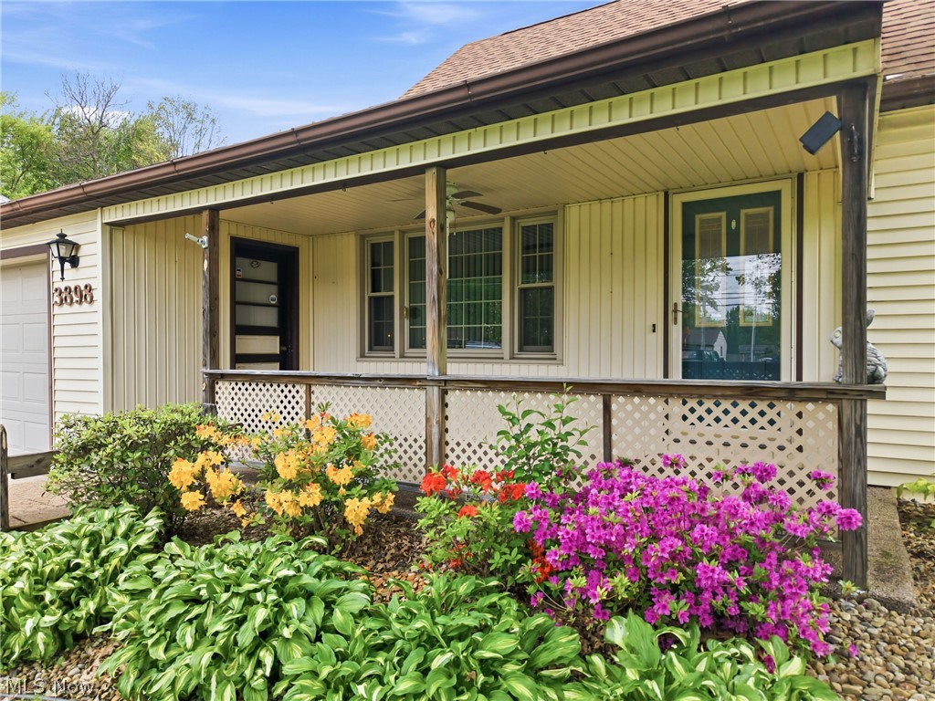 3898 New Road Austintown, OH 44515 - Photo 4 of 45 Covered front porch