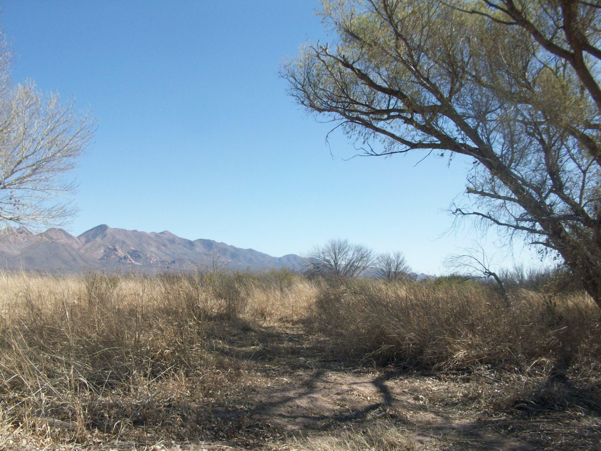 0 West Thompson Road Elfrida, AZ 85610 - Photo 4 of 4