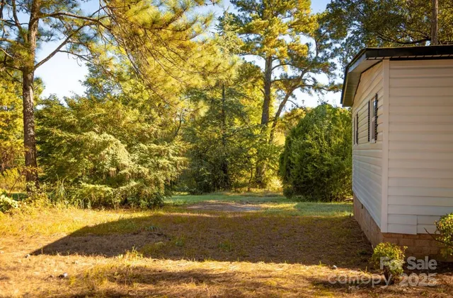 a view of yard with tree
