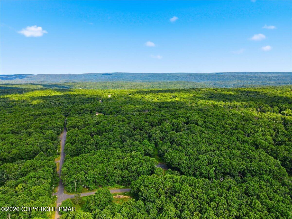 1212 North Whittaker Road Bushkill, PA 18324 - Photo 39 of 40 Aerial Neighborhood View