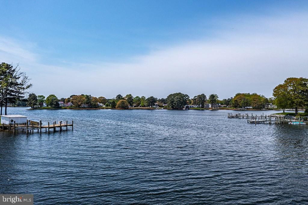 742 Main Street Reedville, VA 22539 - Photo 49 of 66 Serene lakeside view with lush greenery.