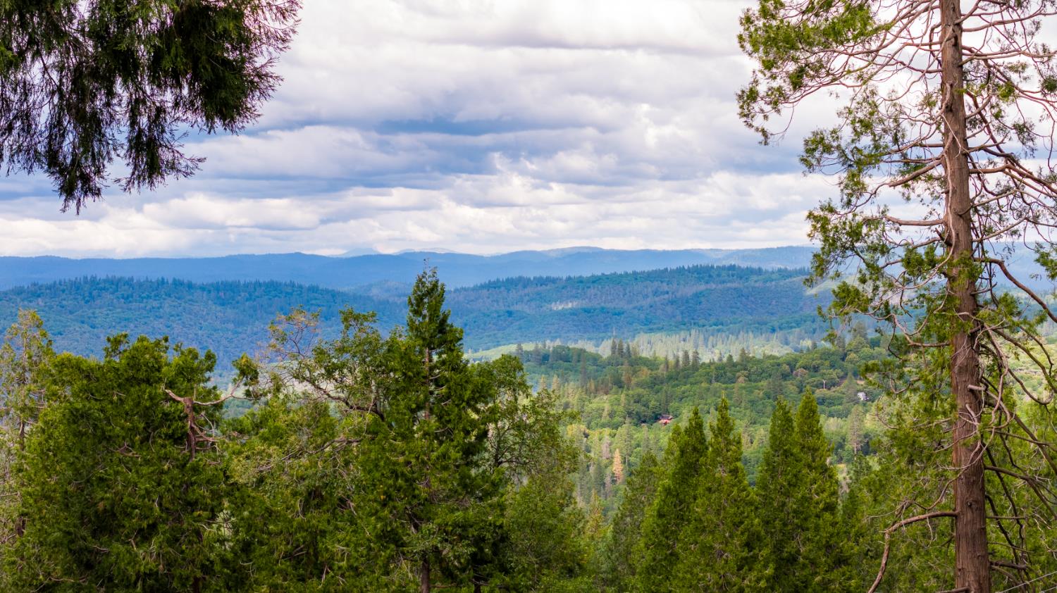 12278 Cement Hill Road Nevada City, CA 95959 - Photo 2 of 61