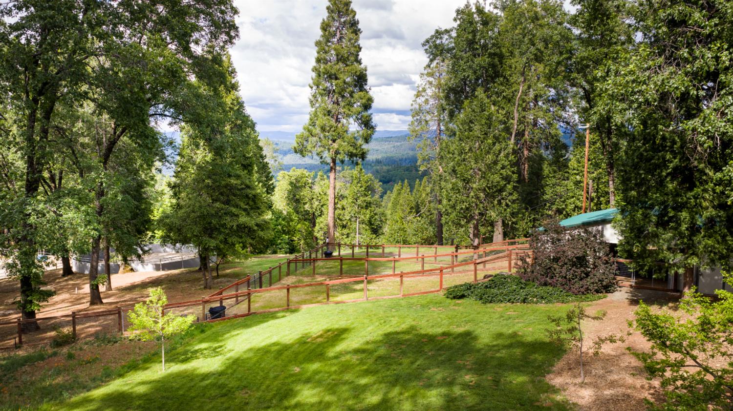 12278 Cement Hill Road Nevada City, CA 95959 - Photo 44 of 61 a view of a park with large trees