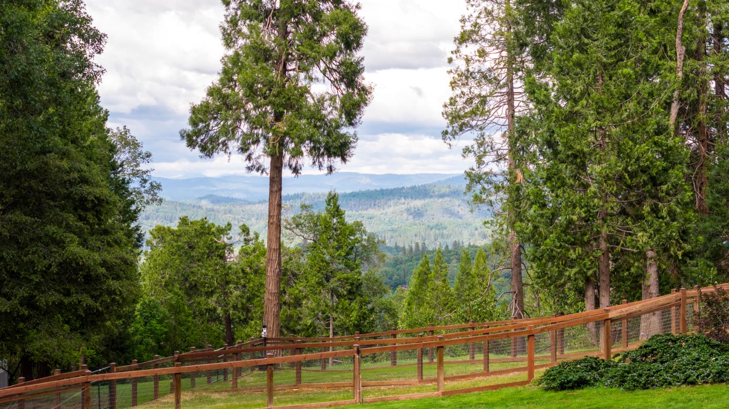 12278 Cement Hill Road Nevada City, CA 95959 - Photo 45 of 61